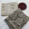 Smokey Taupe Crushed Organza Saree with a wide embroidered pallu beside a darker matching panel