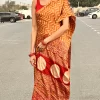 IMG_0586 Front view of Sunset Mustard saree with patterned red pallu