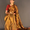 Golden Radiance tissue cotton saree in a seated front pose